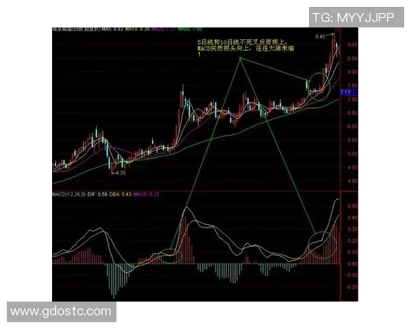 成都飞盘队中路突破战术解析与实战应用探讨